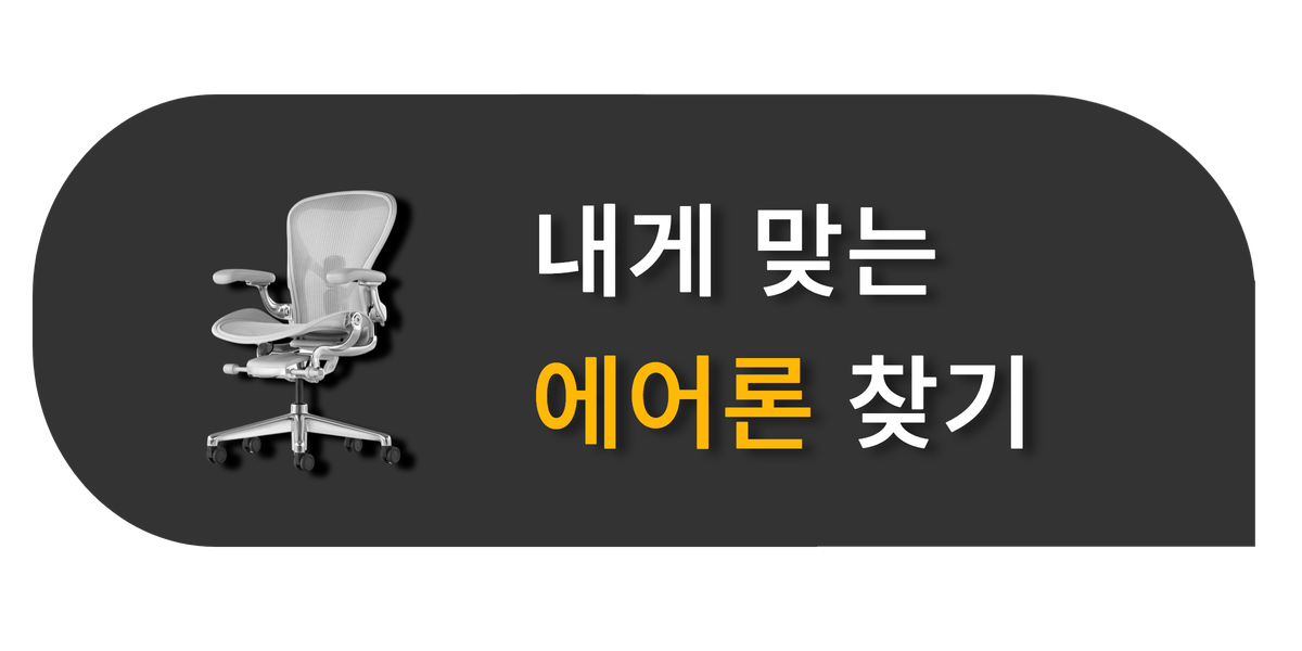 내게 맞는 에어론 찾기